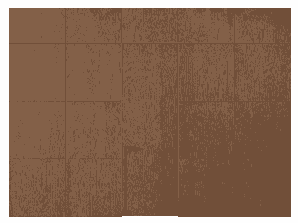 Панели для отделки стен Панель Шпон с эффектом NaturWood. Цвет Дуб серый матовый. Материал Шпон с эффектом Naturwood. Коллекция Шпон с эффектом NaturWood. Картинка.